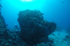 DCIM\100GOPRO\GOPR1848.