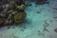 DCIM\100GOPRO\GOPR1866.
