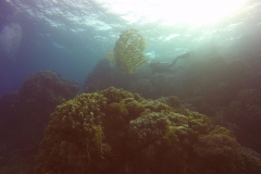 DCIM\100GOPRO\GOPR1873.