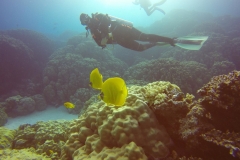 DCIM\100GOPRO\GOPR1883.