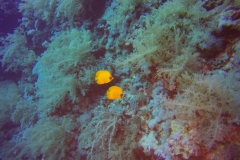 DCIM\100GOPRO\GOPR1977.