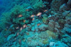 DCIM\100GOPRO\GOPR2128.