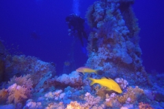 DCIM\100GOPRO\GOPR2147.