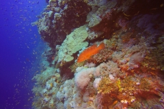 DCIM\100GOPRO\GOPR2164.