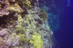 DCIM\100GOPRO\GOPR2172.