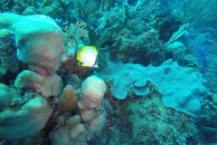 DCIM\100GOPRO\GOPR0047.
