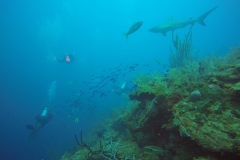 DCIM\100GOPRO\GOPR0098.