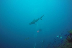 DCIM\100GOPRO\GOPR0099.