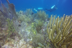 DCIM\100GOPRO\GOPR0145.