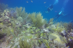 DCIM\100GOPRO\GOPR0146.
