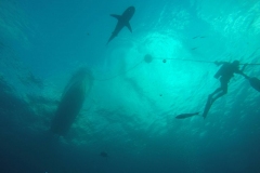DCIM\100GOPRO\GOPR0226.