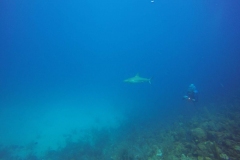 DCIM\100GOPRO\GOPR0278.
