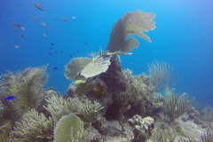 DCIM\100GOPRO\GOPR0317.