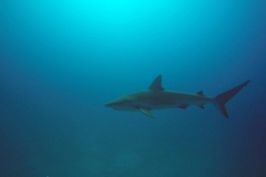 DCIM\100GOPRO\GOPR0352.