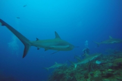 DCIM\100GOPRO\GOPR0357.
