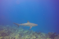 DCIM\100GOPRO\GOPR0412.