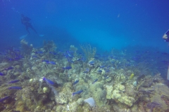 DCIM\100GOPRO\GOPR0414.