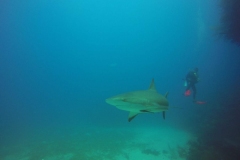DCIM\100GOPRO\GOPR0422.