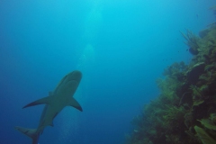 DCIM\100GOPRO\GOPR0432.