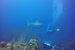 DCIM\100GOPRO\GOPR0455.
