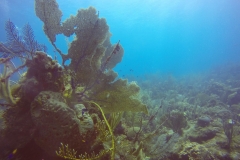 DCIM\100GOPRO\GOPR0460.