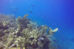 DCIM\100GOPRO\GOPR0541.