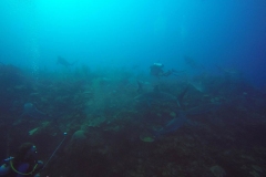 DCIM\100GOPRO\GOPR0570.