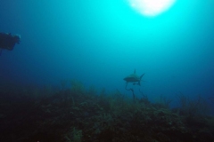 DCIM\100GOPRO\GOPR0578.