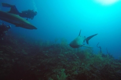 DCIM\100GOPRO\GOPR0579.