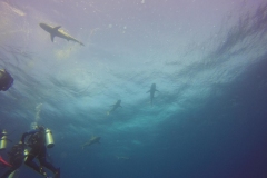 DCIM\100GOPRO\GOPR0616.