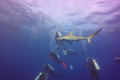 DCIM\100GOPRO\GOPR0618.