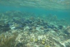 DCIM\100GOPRO\GOPR0645.