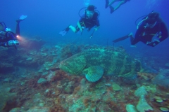 DCIM\100GOPRO\GOPR0747.