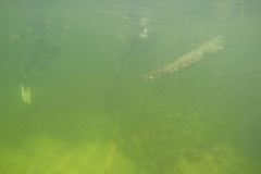 DCIM\100GOPRO\GOPR0775.