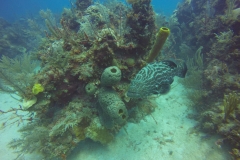 DCIM\100GOPRO\GOPR0786.