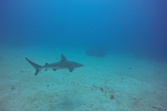 DCIM\100GOPRO\GOPR0794.