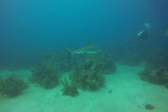 DCIM\100GOPRO\GOPR0795.