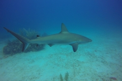 DCIM\100GOPRO\GOPR0796.