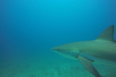 DCIM\100GOPRO\GOPR0818.