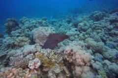 DCIM\100GOPRO\GOPR2468.