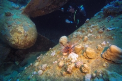 DCIM\100GOPRO\GOPR2327.