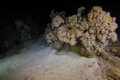 DCIM\100GOPRO\GOPR2367.