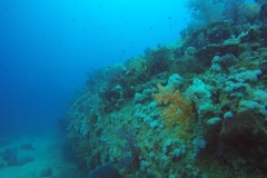 DCIM\100GOPRO\GOPR2417.