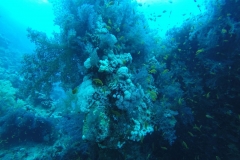 DCIM\100GOPRO\GOPR2437.