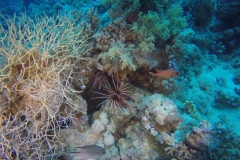 DCIM\100GOPRO\GOPR2449.