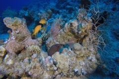 DCIM\100GOPRO\GOPR2462.
