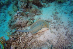 DCIM\100GOPRO\GOPR2474.