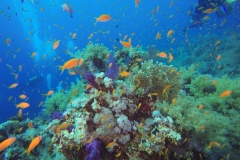 DCIM\100GOPRO\GOPR2478.