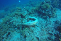 DCIM\100GOPRO\GOPR2491.