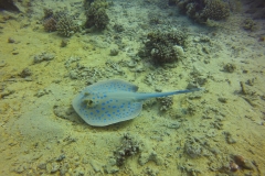 DCIM\100GOPRO\GOPR2496.